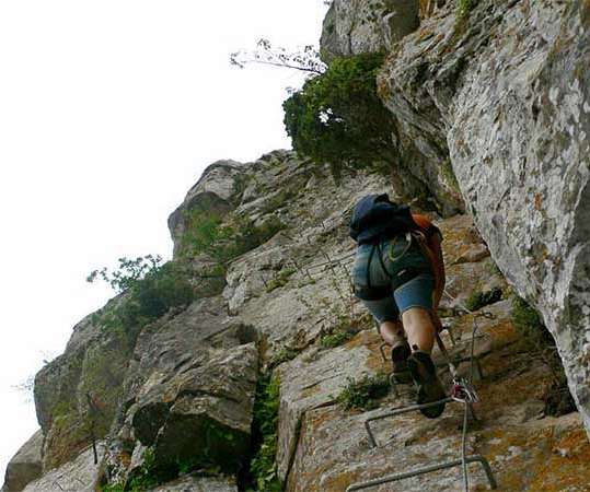 Feixa del Colom