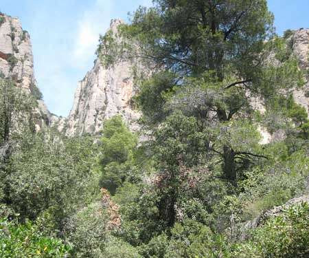 Canal de las Damas