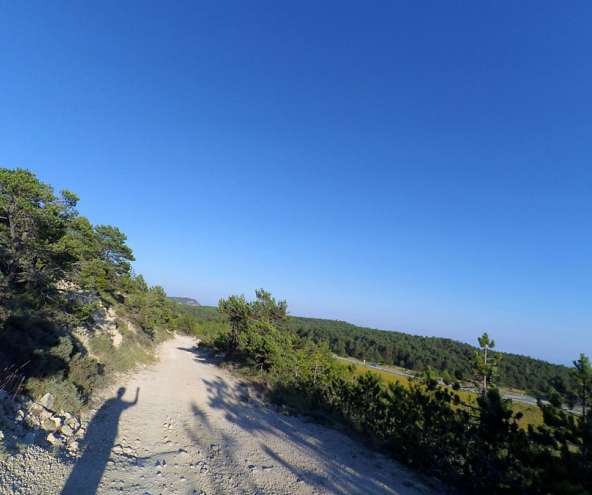 Grau Avencs de la Febró