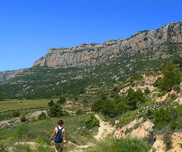 Morera de Montsant