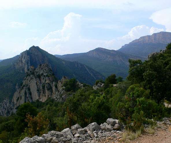 Olmo Soler