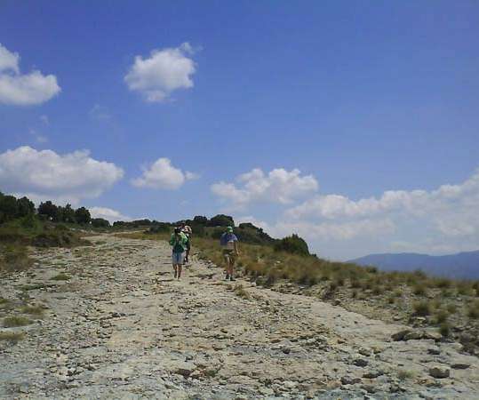 El Puig de la Força
