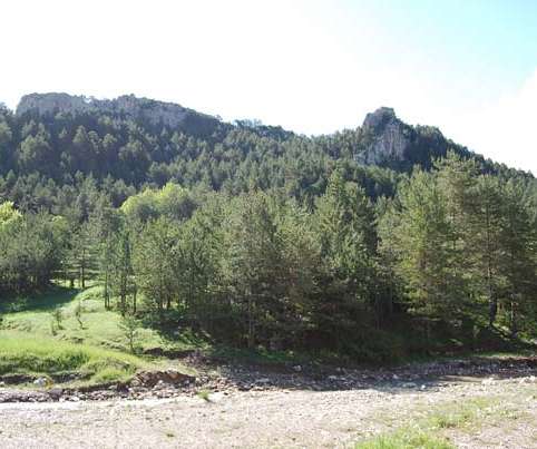 Roques de l