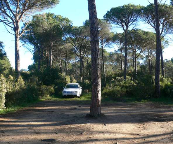 Gorges de Salenys