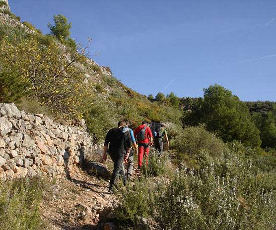 Vall d